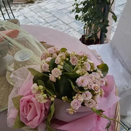 Bed & Breakfast Bb Lady *