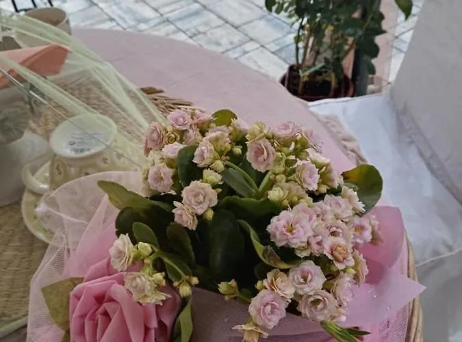 住宿加早餐酒店 Bb Lady *