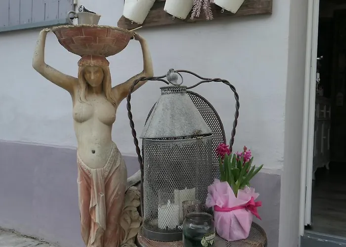 Bb Lady * 卡泰维托莫顿