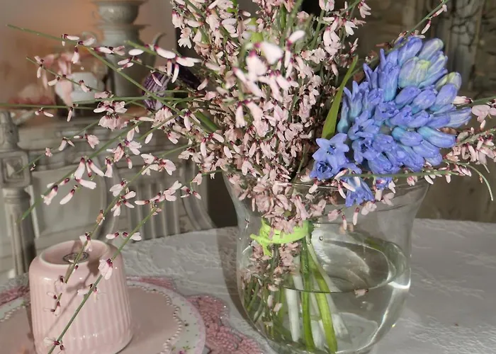 Bb Lady 住宿加早餐酒店