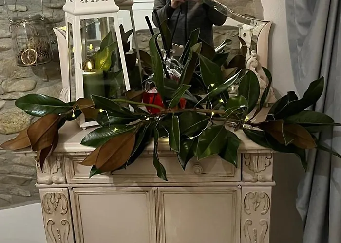 Bb Lady 卡泰维托莫顿