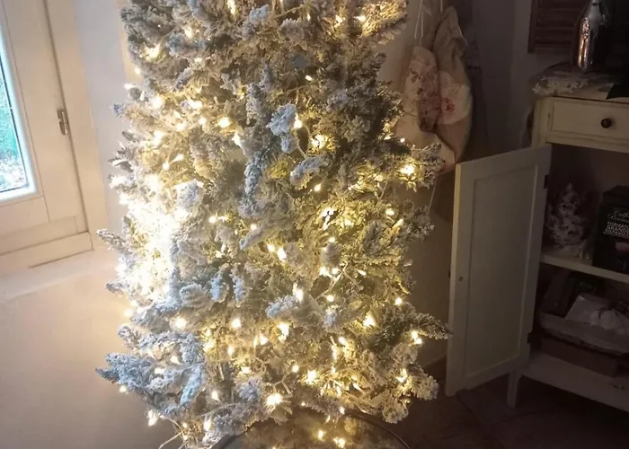 Bb Lady 住宿加早餐酒店 卡泰维托莫顿