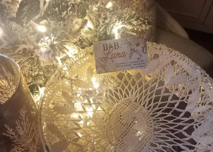 Bb Lady * 卡泰维托莫顿