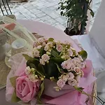 לינה וארוחת בוקר Bb Lady *