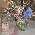 Bb Lady לינה וארוחת בוקר