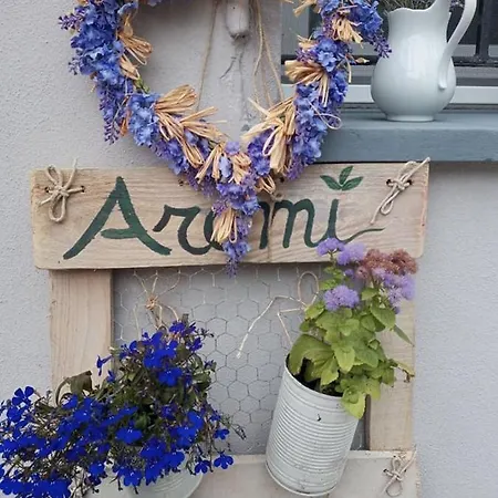 Bb Lady Castelvetro di Modena