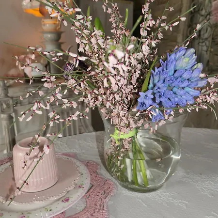 Bb Lady Bed & Breakfast