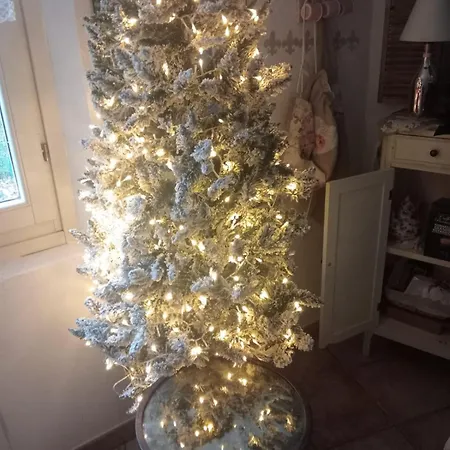 Bb Lady Couette-café Castelvetro di Modena