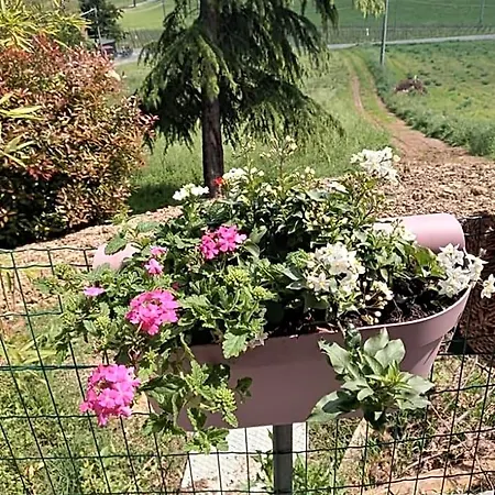 Bb Lady Bed & Breakfast