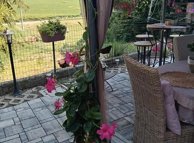 Bb Lady Castelvetro di Modena