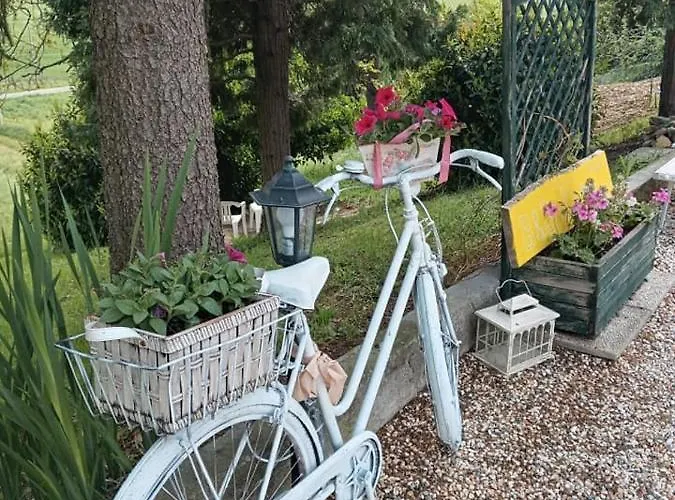 Bb Lady Bed and Breakfast *